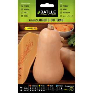 CALABAZA ANQUITO BUTTERNUT BATLLE