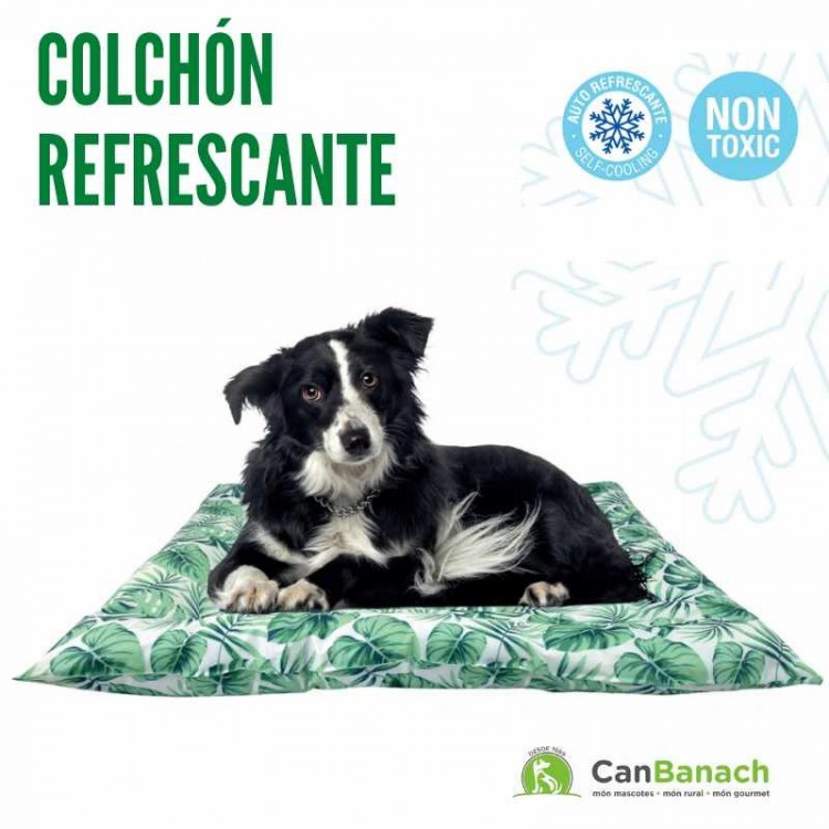 COLCHON REFRESCANTE COOL MAT GEL JUNGLE 76 X 66 CM COLCHON REFRESCANTE COOL MAT GEL JUNGLE 76 X 66 CM