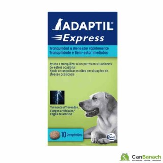 Adaptil Express 10 comprimidos