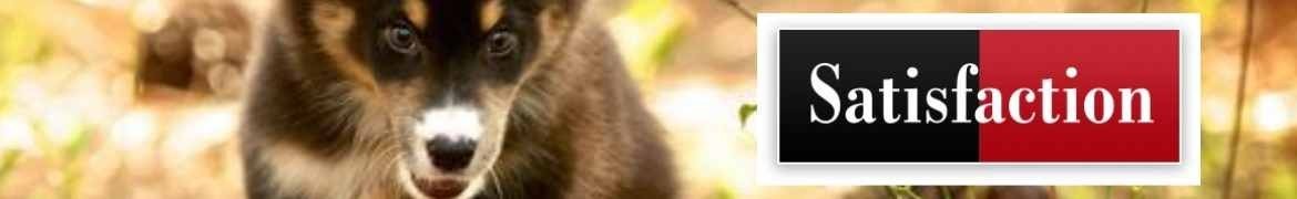 Pienso para Perros Satisfaction | Satisfaction Regular para perros adultos y cachorros